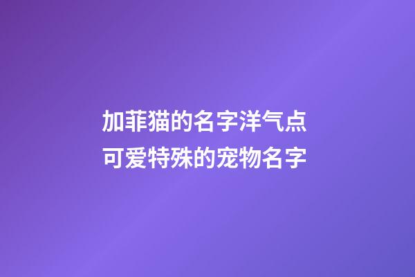 加菲猫的名字洋气点 可爱特殊的宠物名字